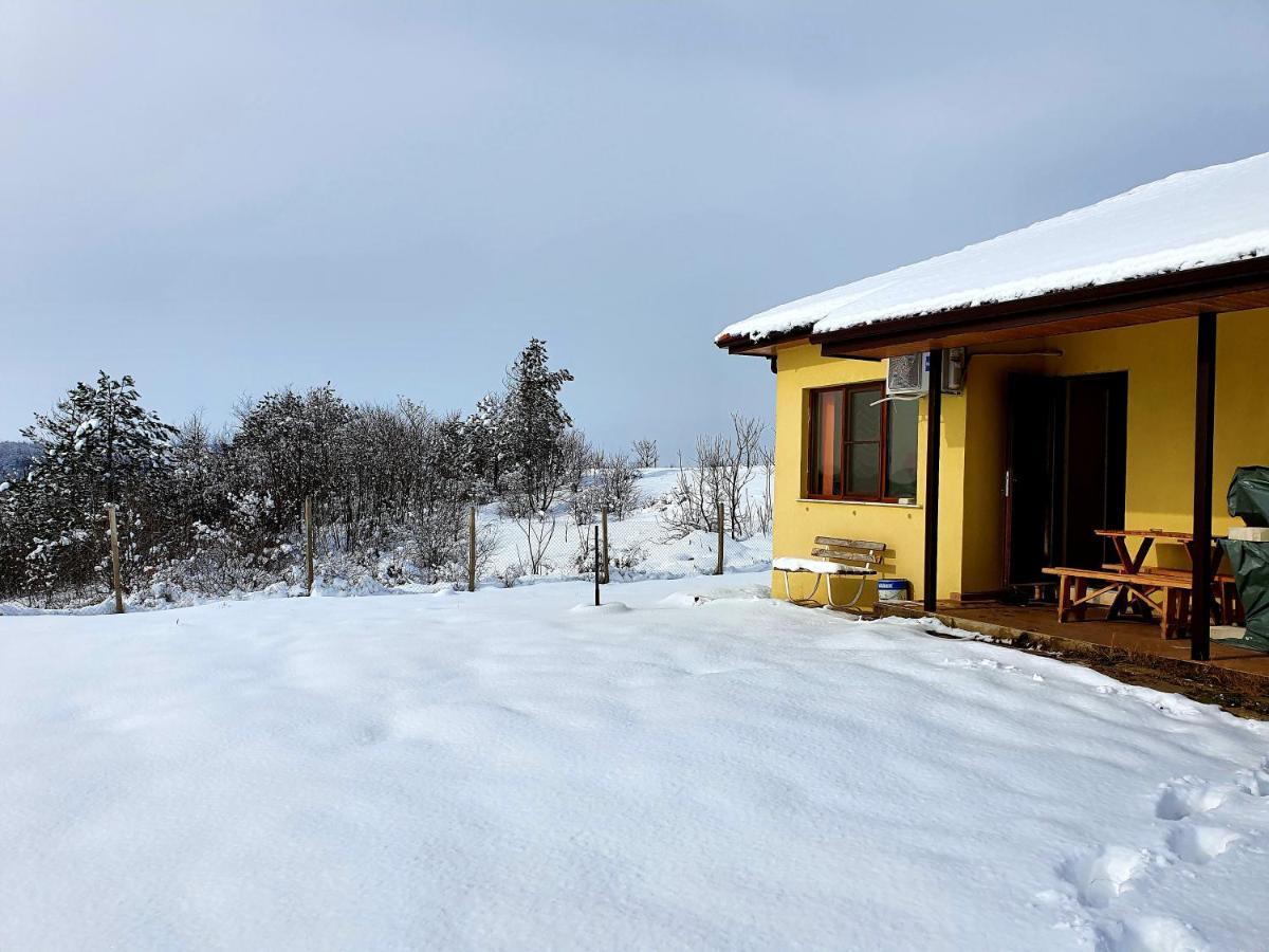 Malavi Guest House Krasen! Comfort&Clean! 외부 사진